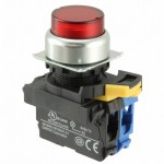 A22NL-RPM-TRA-G100-RC参考图片