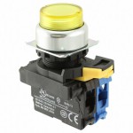 A22NL-RPM-TYA-G100-YD参考图片